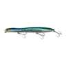 Slim Sardine