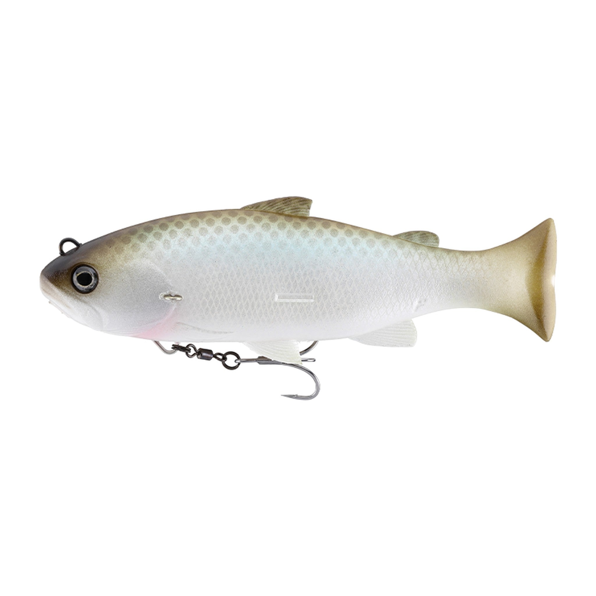Jackall Vividus in Hasu — official Jackall product photo