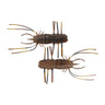 Gasagasa Long-Armed Shrimp