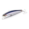 SNI Fresh Sardine