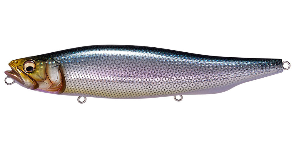 Megabass MEGADOG IWASHI lure image