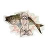 Aji (Horse Mackerel)