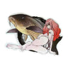 Koi (Carp)