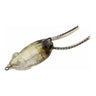 #250 Freshwater Shrimp