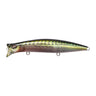 FA Green Mackerel