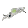03 Green Firefly Squid