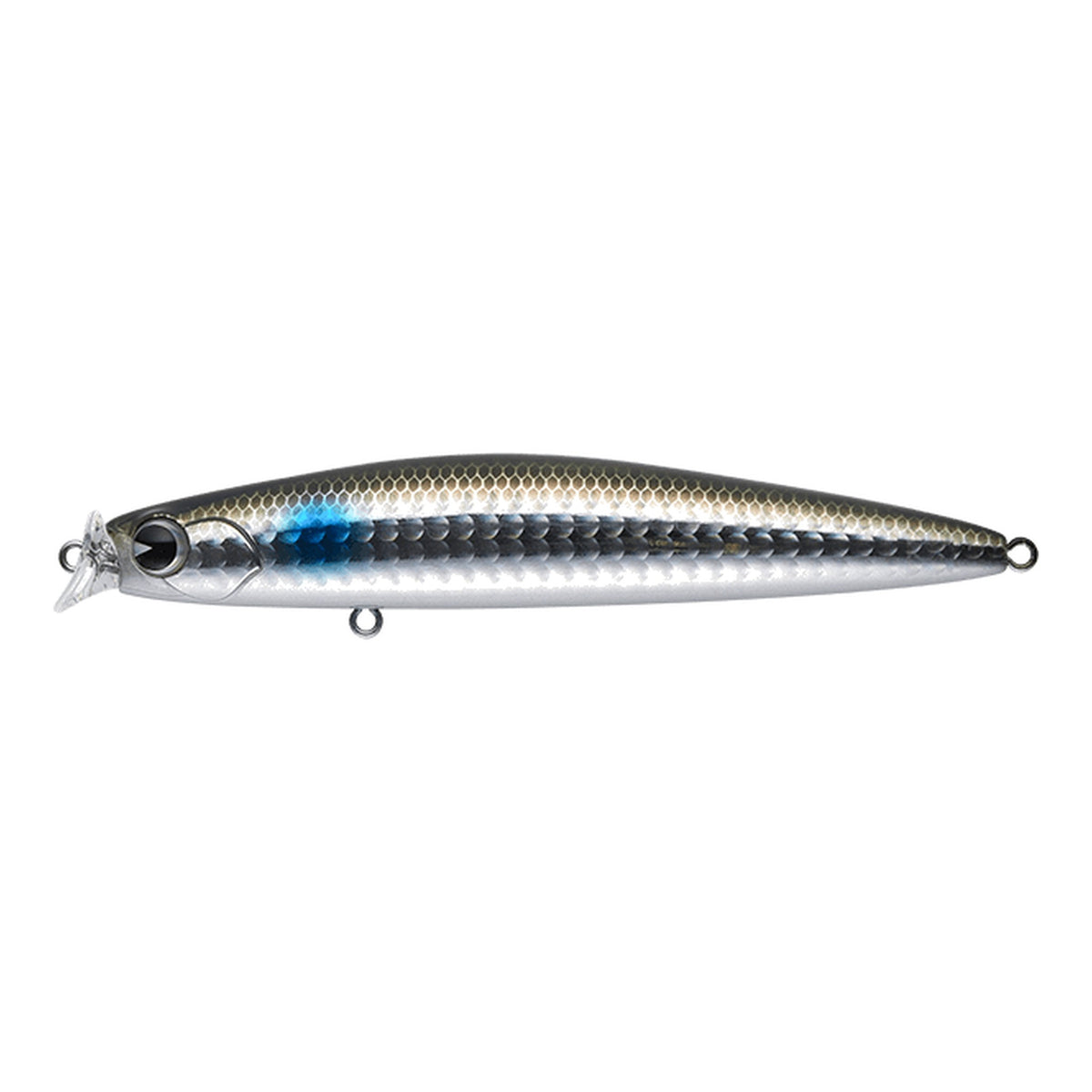 Bora