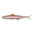 Evergreen Last Ace 75 in #41 Wakasagi (Smelt) — official Evergreen product photo
