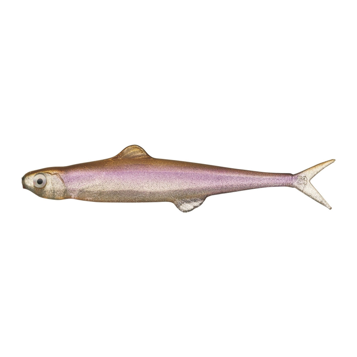 Evergreen Last Ace 75 in #41 Wakasagi (Smelt) — official Evergreen product photo