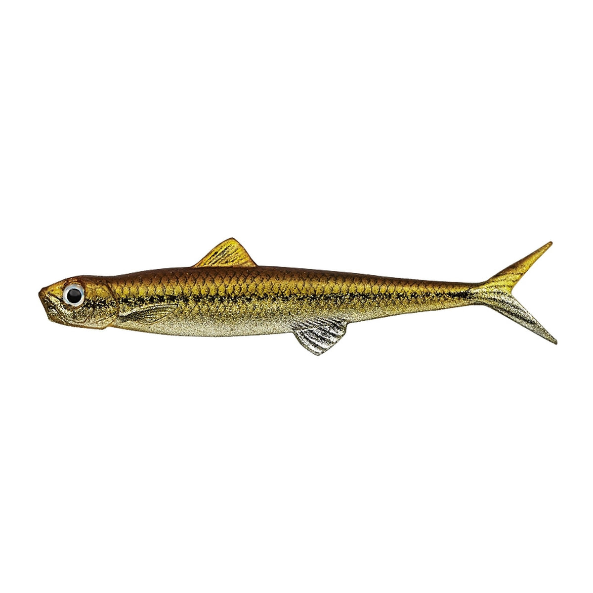 Evergreen Last Ace 80F in #117 Motsugo (Minnow) — official Evergreen product photo