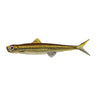 #117 Motsugo (Minnow)