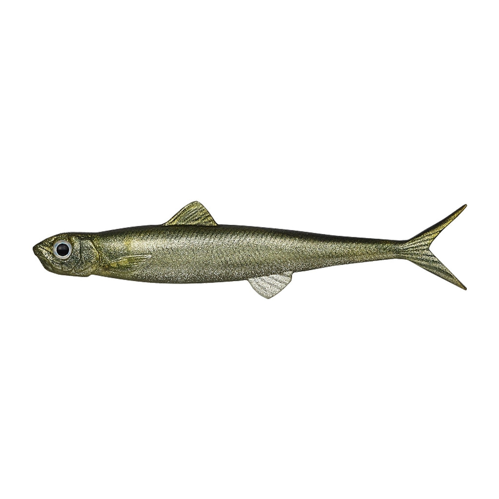 Evergreen Last Ace 80F in #14 Ayu (Sweetfish) — official Evergreen product photo