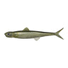 #14 Ayu (Sweetfish)