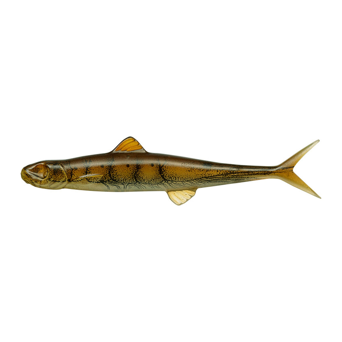 Evergreen Last Ace 80F in #161 Tenaga (River Shrimp) — official Evergreen product photo
