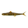 #161 Tenaga (River Shrimp)