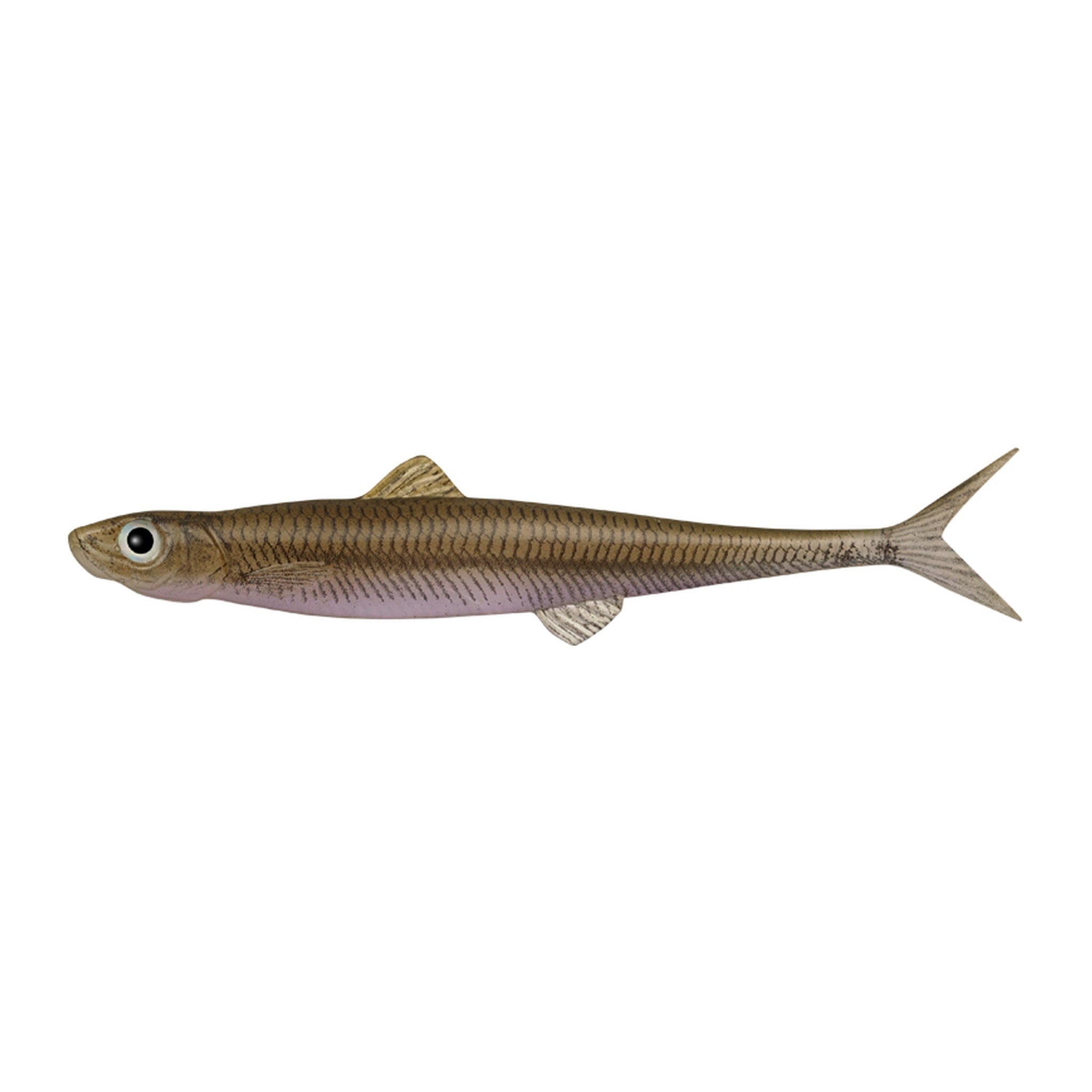 Evergreen Last Ace 80F in #97 Super Wakasagi (Super Smelt) — official Evergreen product photo