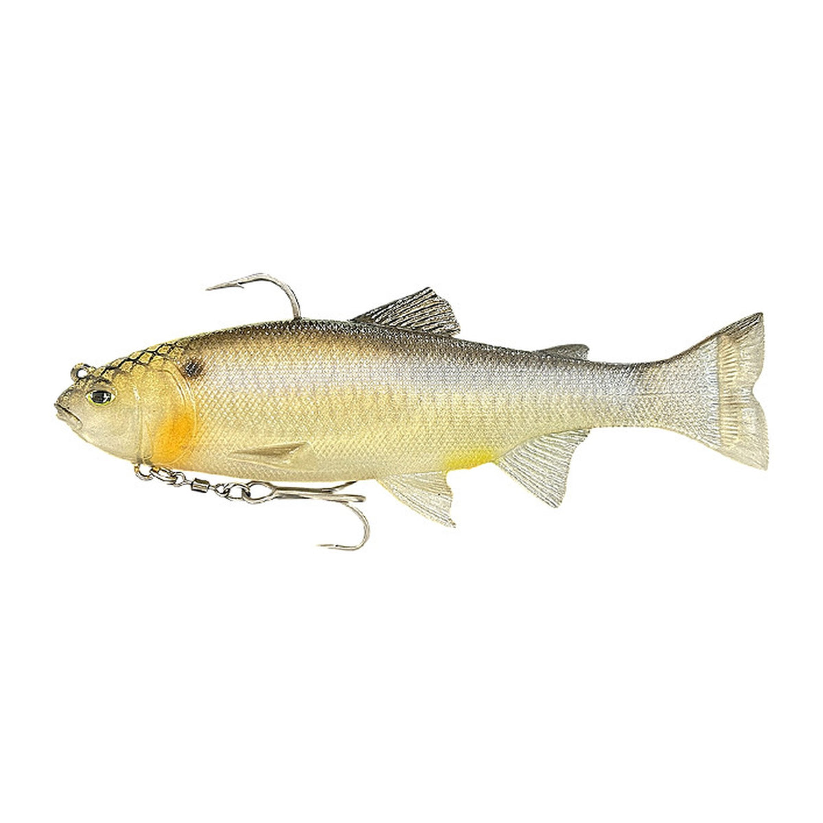 Imakatsu Lazy Swimmer in 3DR Shenlong (Eco) #S-634 — official product photo