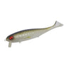 #66 Silver Fish
