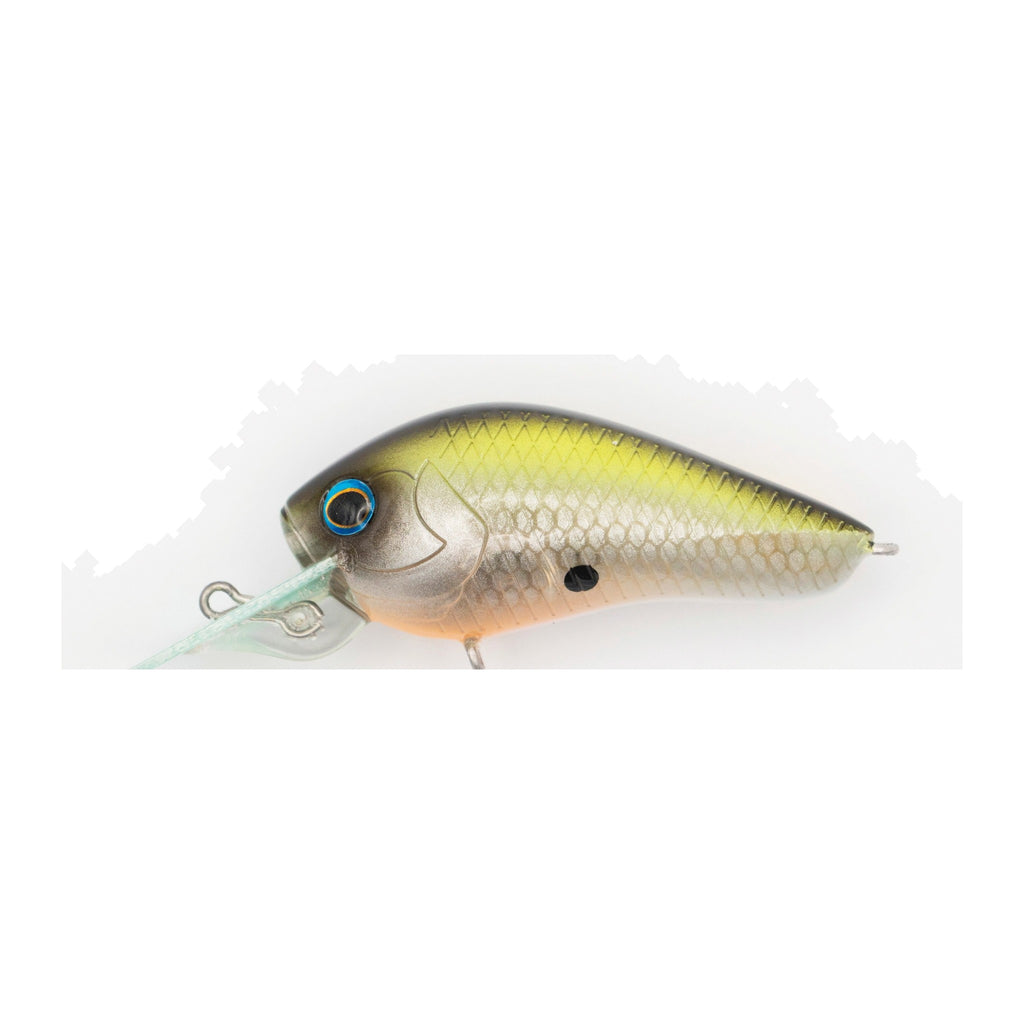 Grassroots LILBIT in #007 Visible Shad G — official product photo