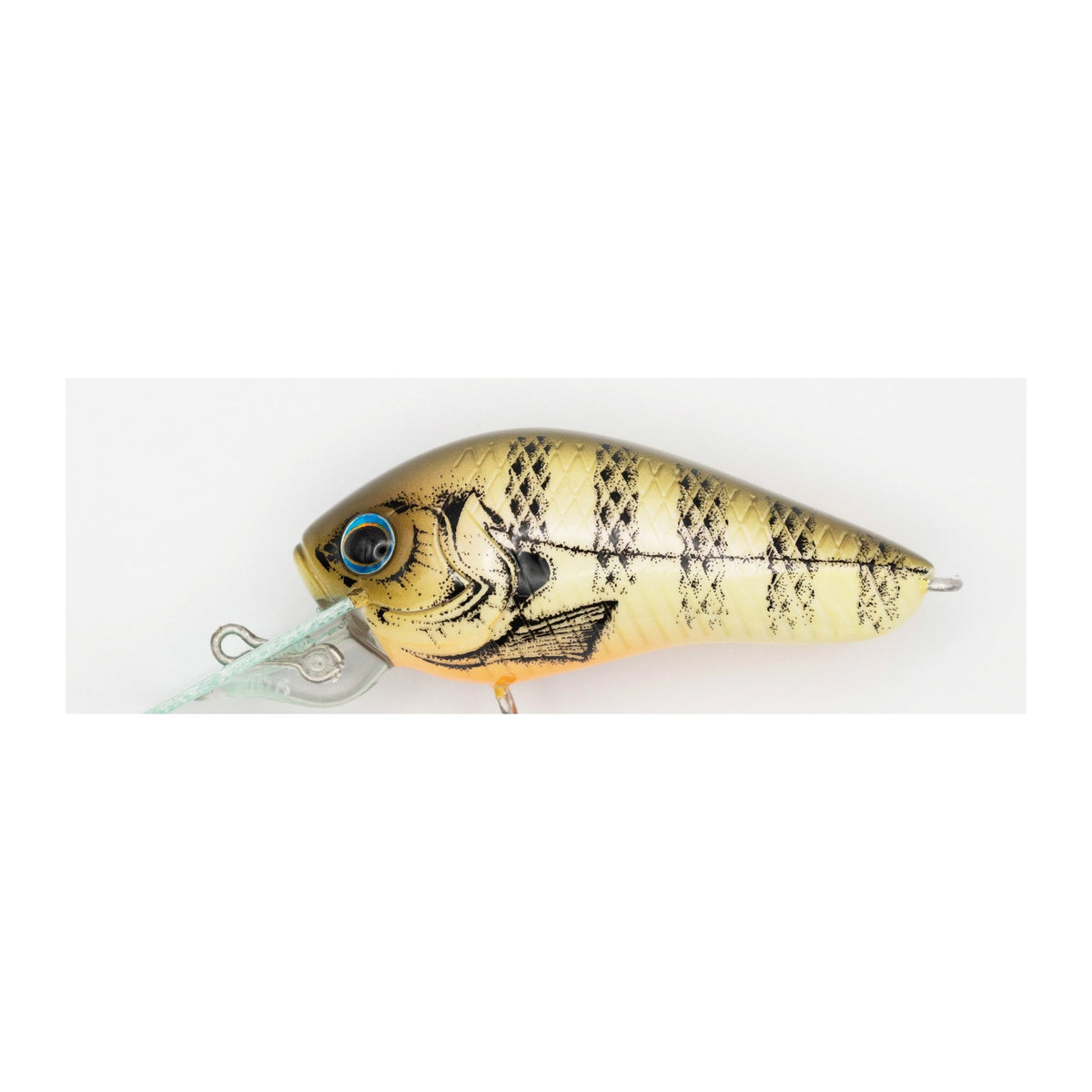 Grassroots LILBIT in #019 Earth Gill N — official product photo