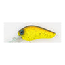 #021 U.S. Bream