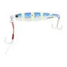 Zebra Sardine