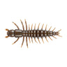 C03 Mud Bug
