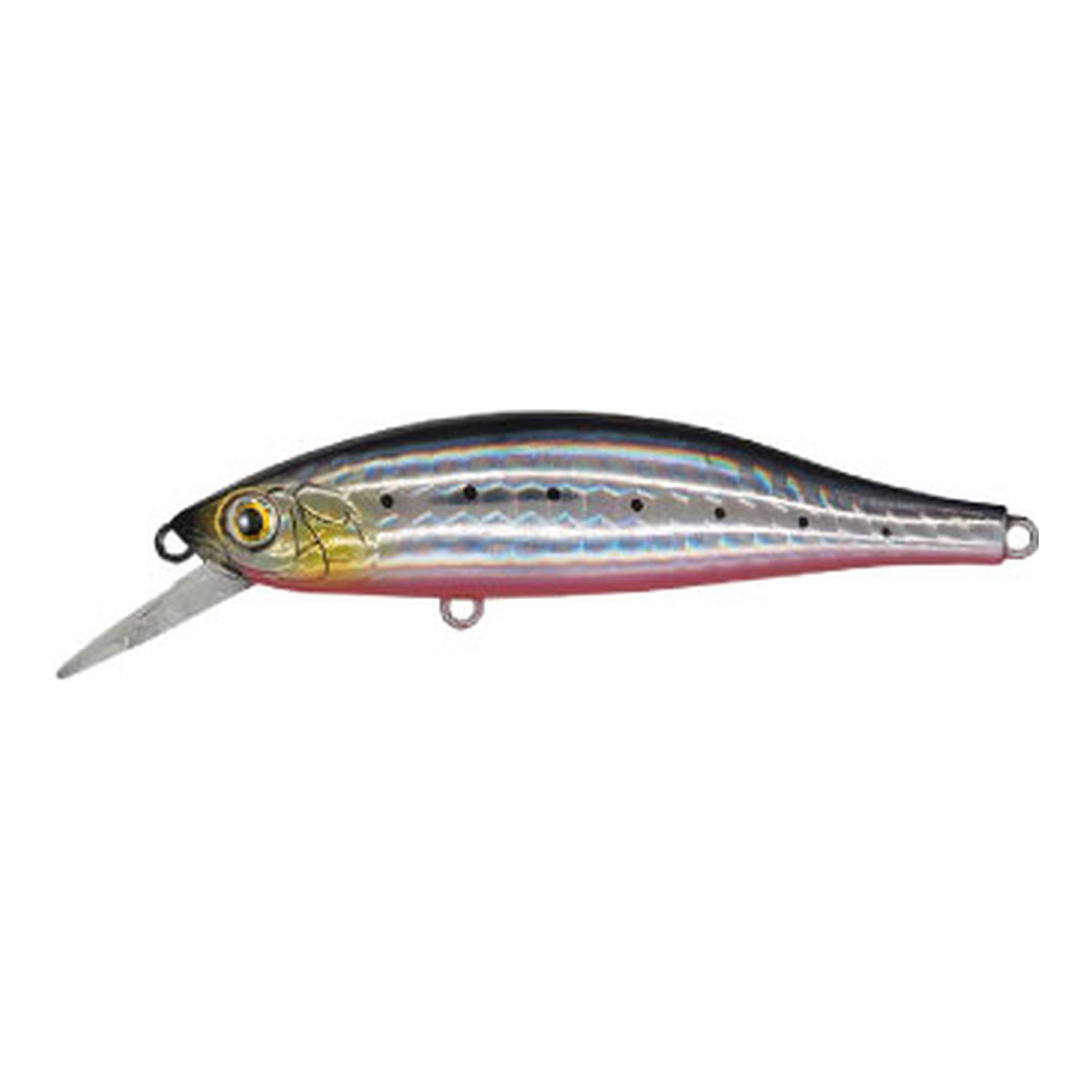 Maria Tight Slalom 80 - Sardine