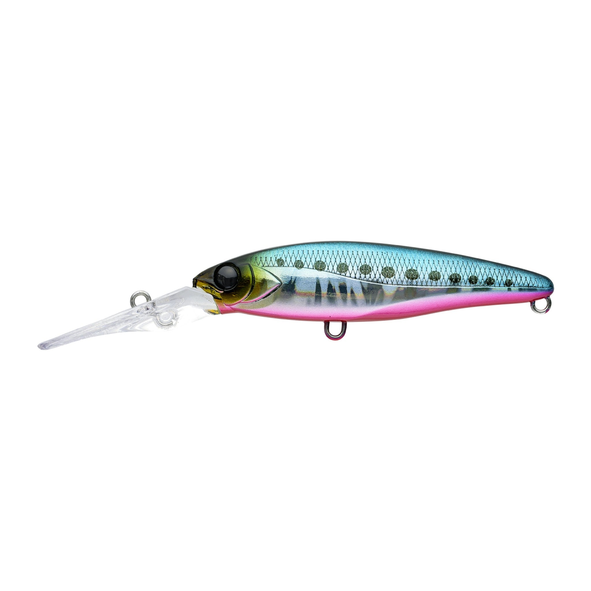 Apia Mayol 70SL in #04 Sardine Red Belly — official Apia product photo