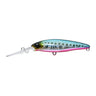 #04 Sardine Red Belly