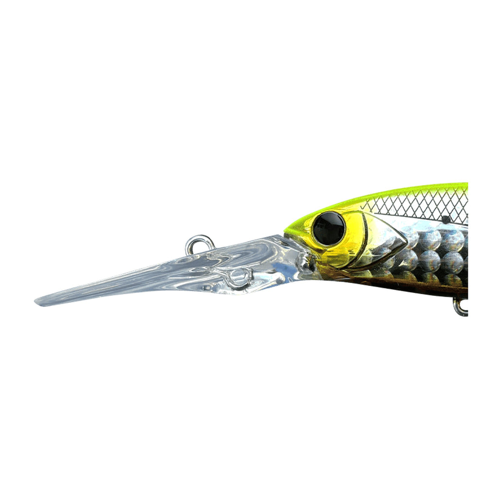 Apia Mayol 70SL — official Apia product photo