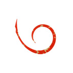 Jackall Binbin Switch Micro Curly Slim Orange Gold