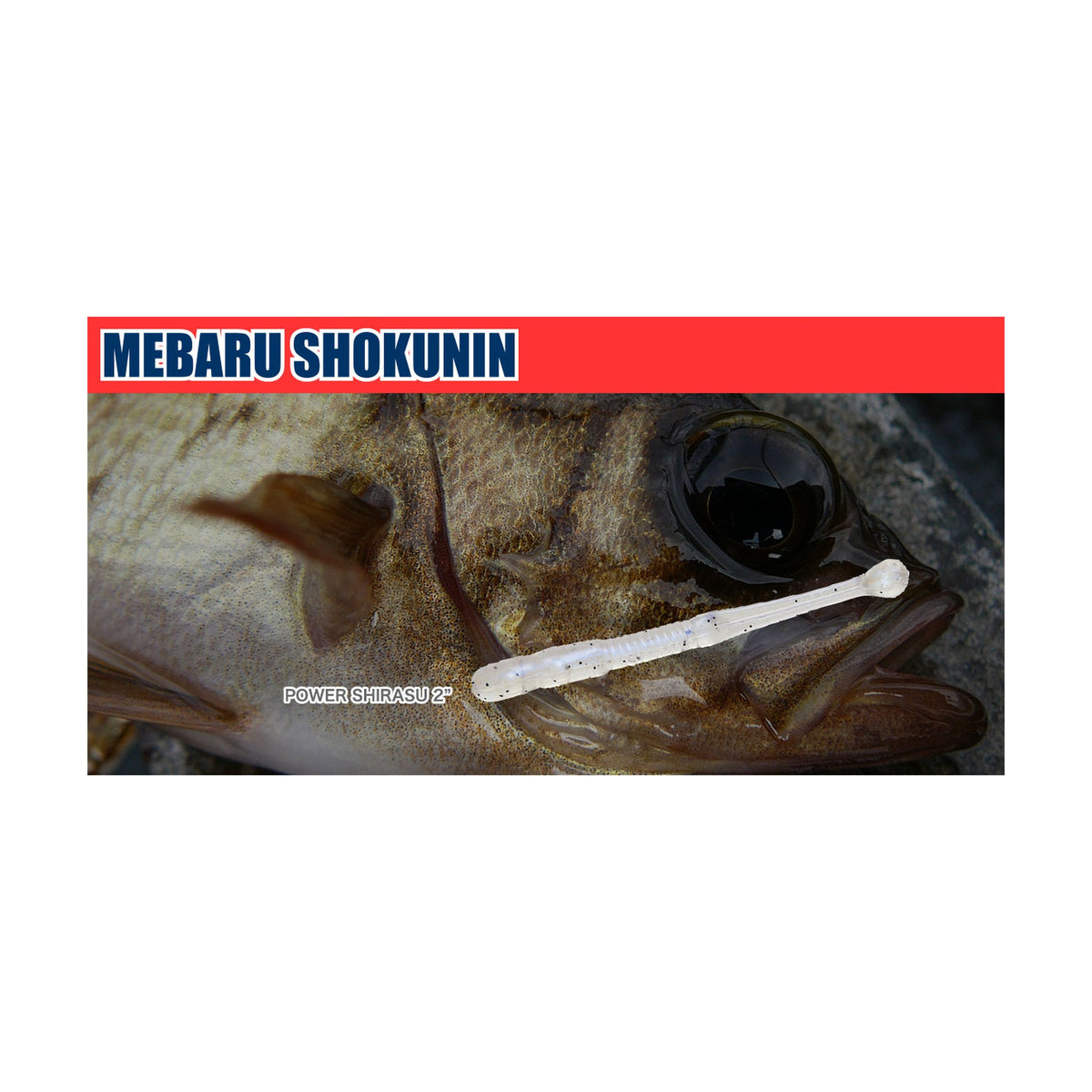 Ecogear Mebaru Shokunin Power Shirasu 2 — official Ecogear product photo