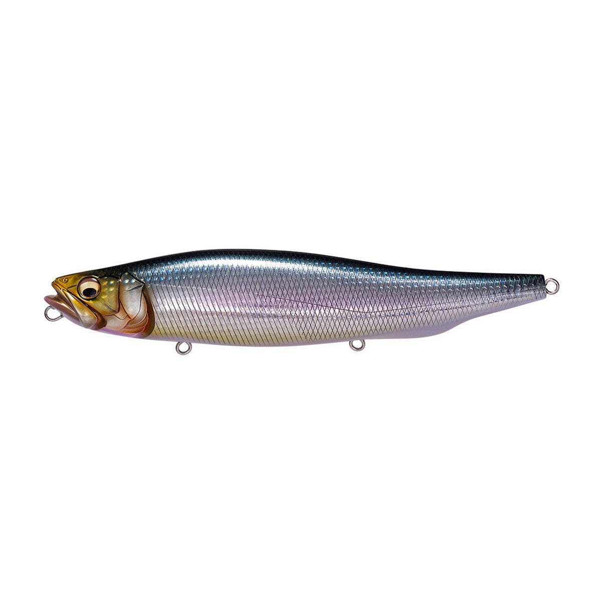megabass-megadog-iwashi