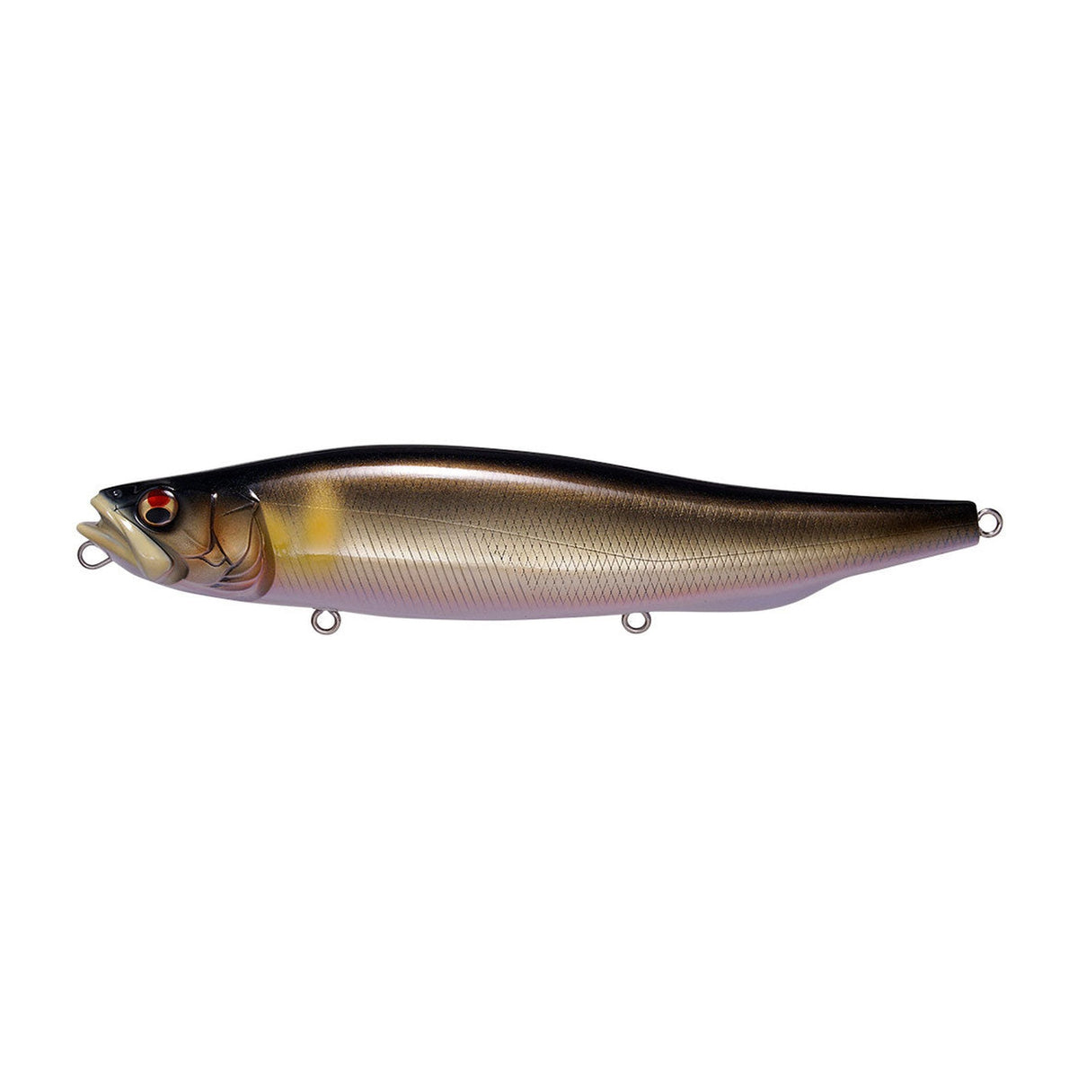 megabass-megadog-wagin-ochi-ayu