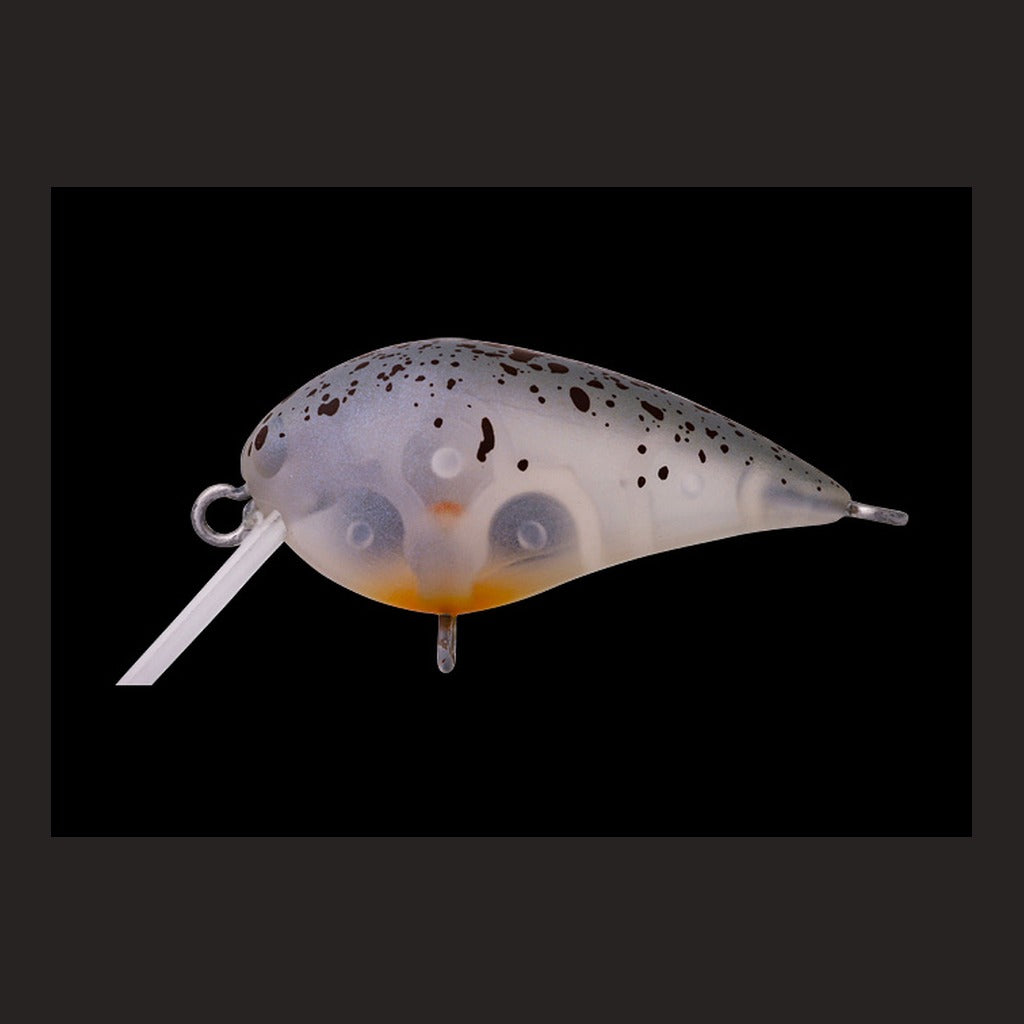 Office Eucalyptus Mini Kura SS #5 Goby