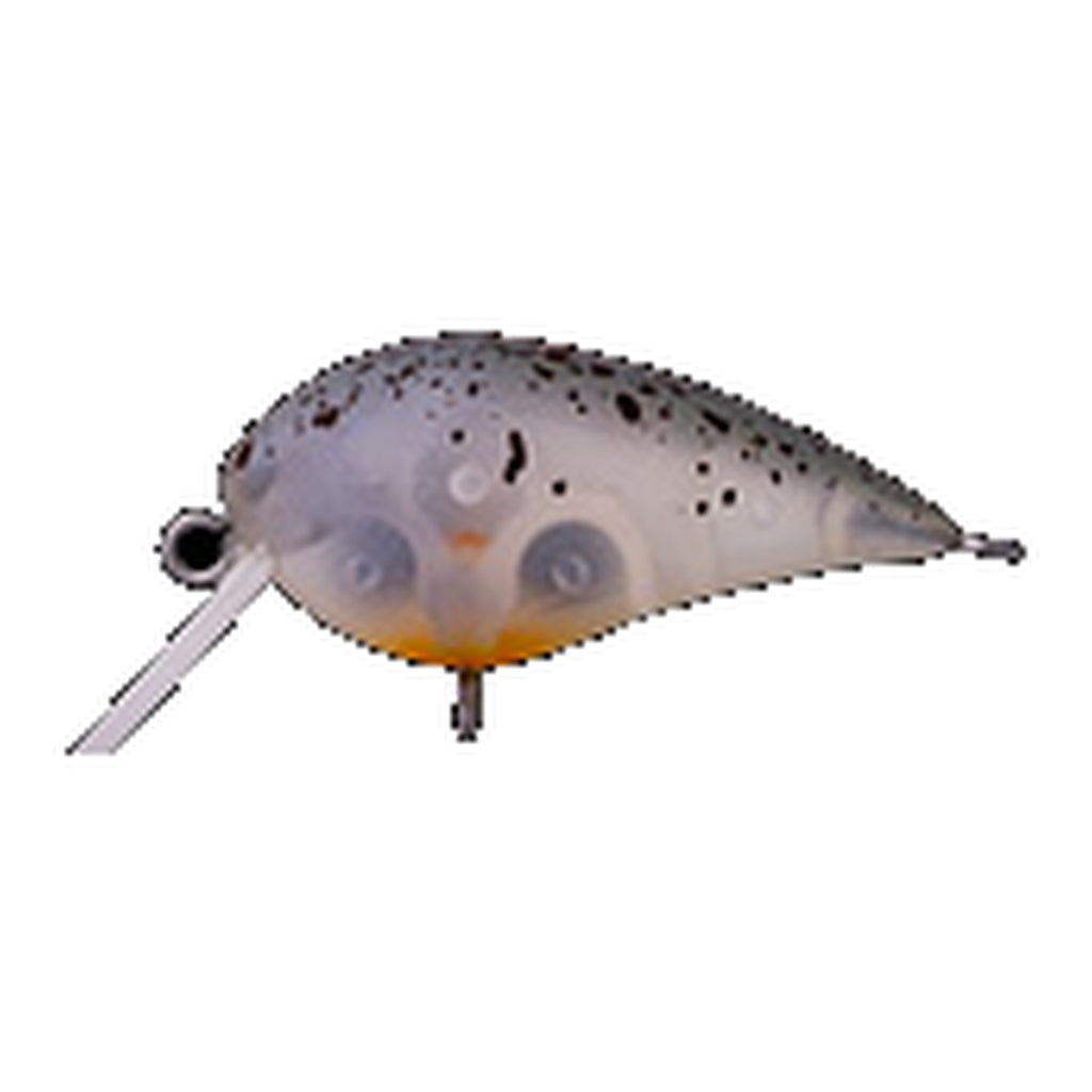 Office Eucalyptus Mini Kura SS #5 Goby