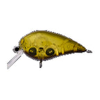 Office Eucalyptus Mini Kura SS #6 Belly Brown G