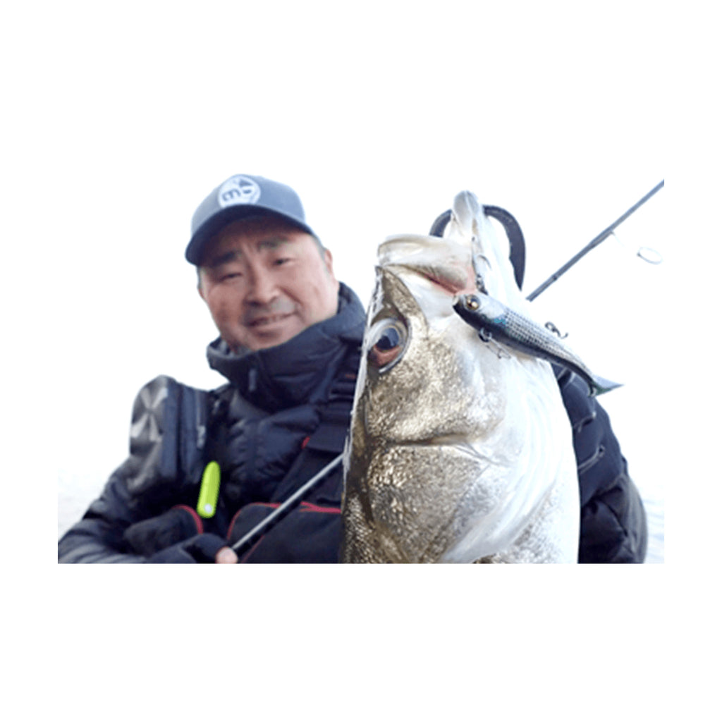 Marujin UK BAIT 15 — official product image