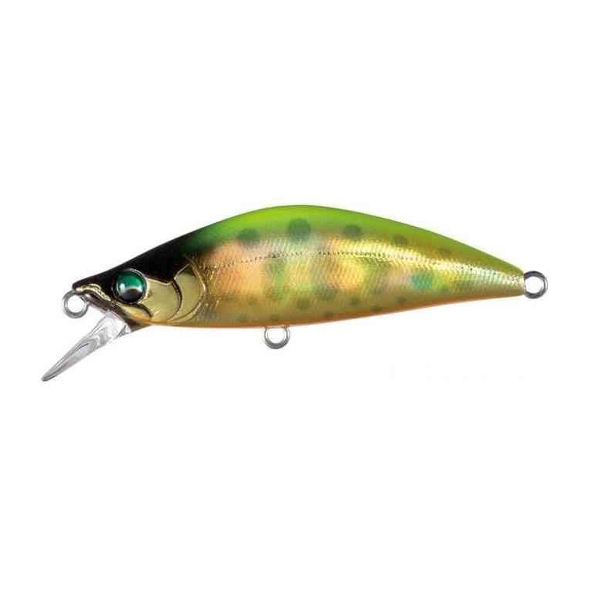 Bassday Mononofu 50S in Mo-007 Chart Back Gold — official product photo
