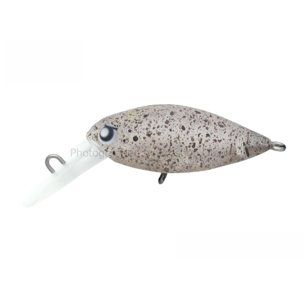 Rodio Craft Moka Rattle DR 2-Hook (F) #34 19 Saotome