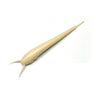 #3 Bone