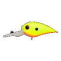 Office Eucalyptus Nei-Crank Salt #22 BB/C Bari-2 Chartreuse