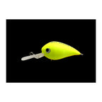 Office Eucalyptus Nei-Crank in #1 Belly Orange — official Office Eucalyptus product photo