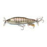 Juvenile Bluegill