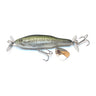 Juvenile Largemouth