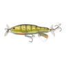 Yellow Perch