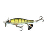 Yellow Perch