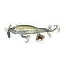Juvenile Largemouth