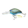 Brown Craw Fish